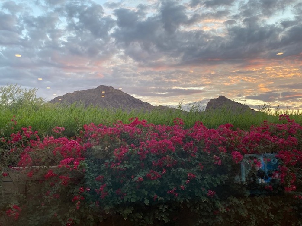 Mountain View Landscape