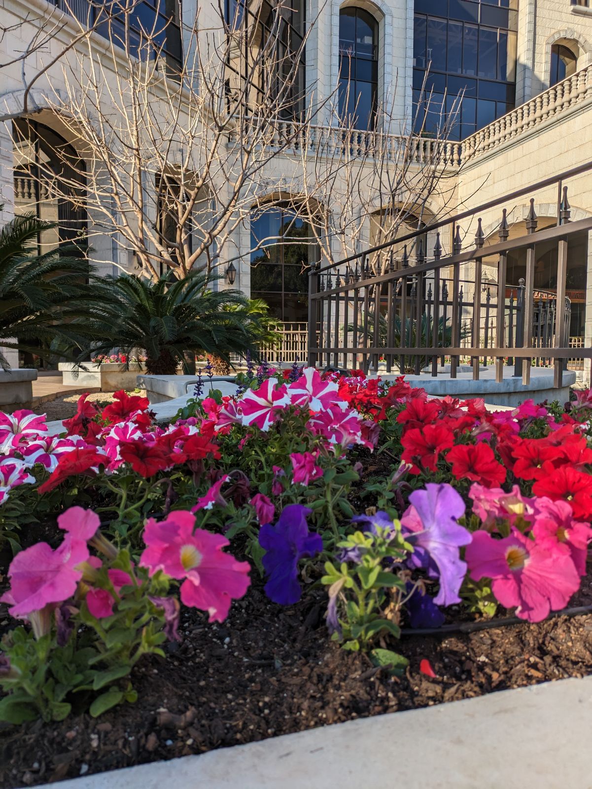 Commercial Landscaping