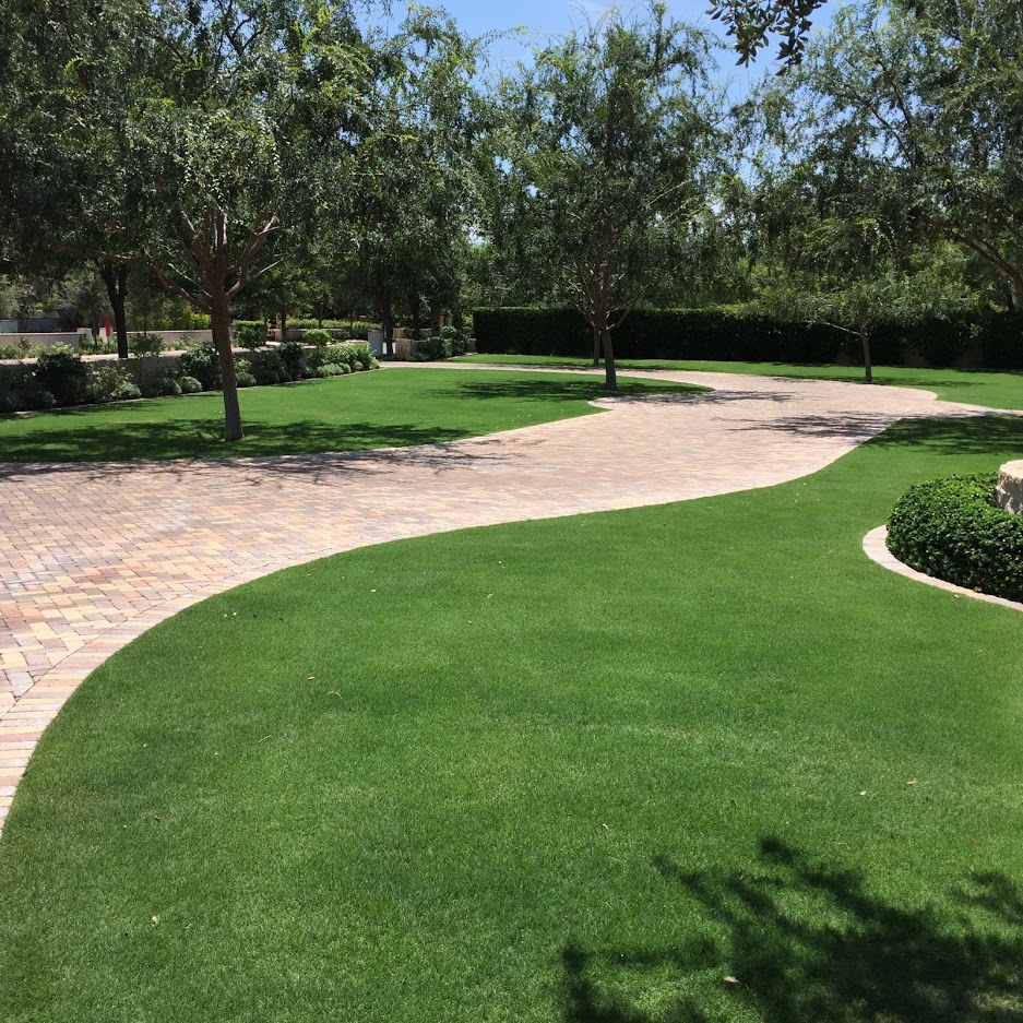 Commercial Landscape Maintenance