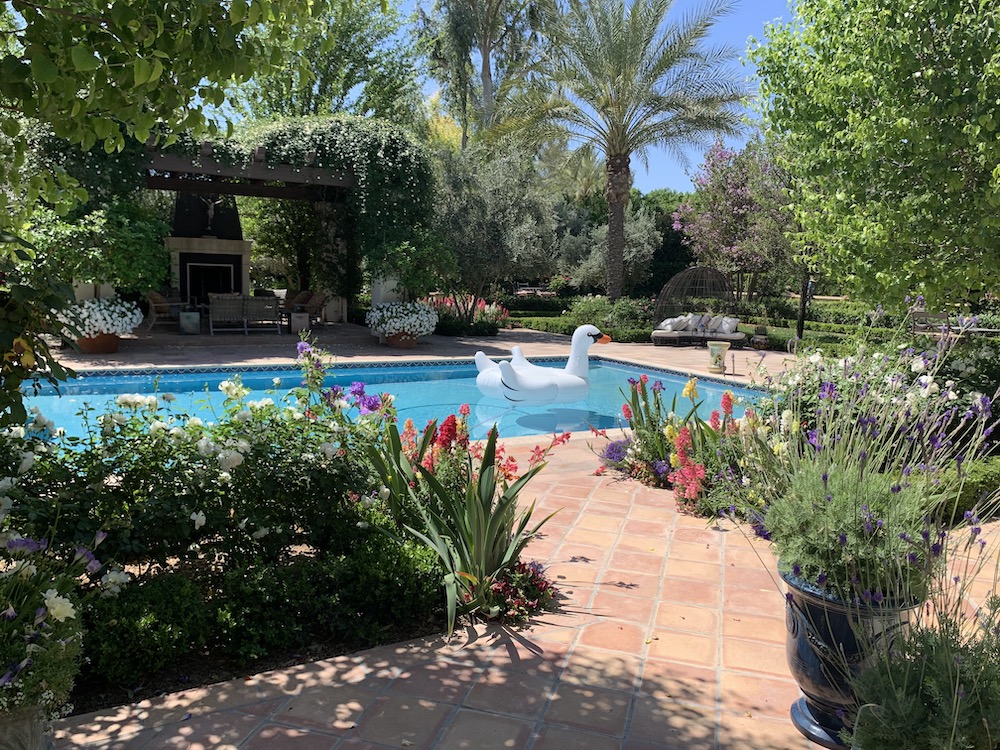 Background Landscape