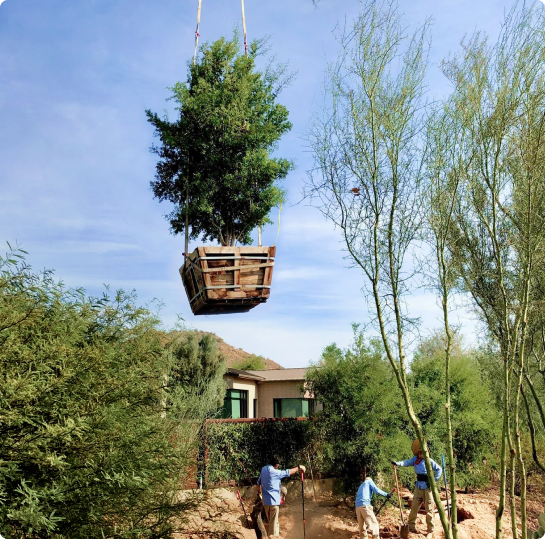 Landscape Installation